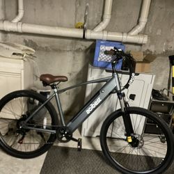 Actbest Electric Bike