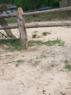 Cedar line fence post
