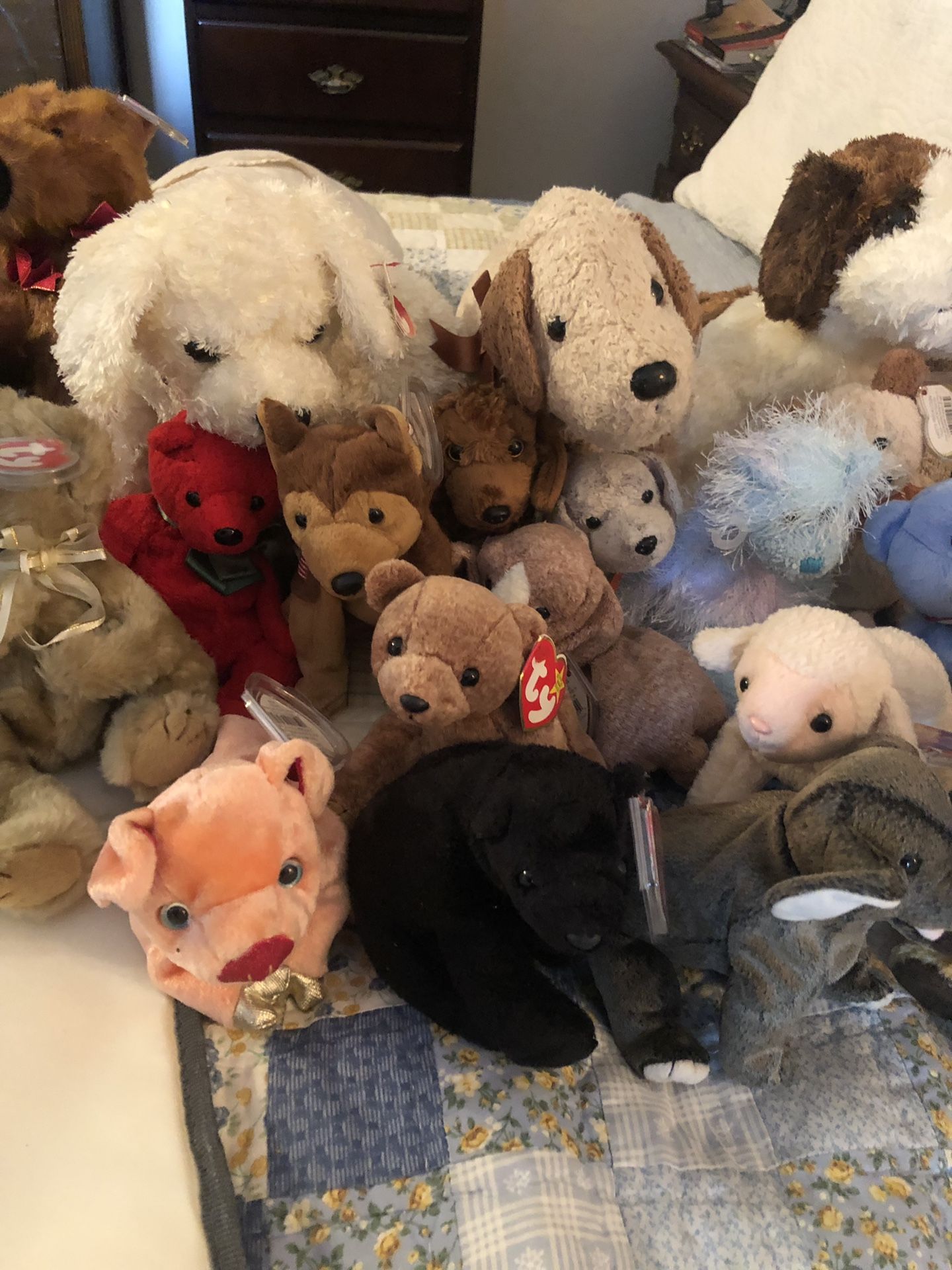 Beanie baby collection