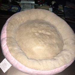 Nice Small Pet Bed Only $10 Firm