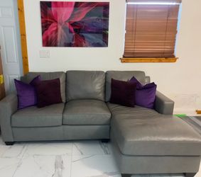 SECTIONAL DE PIEL