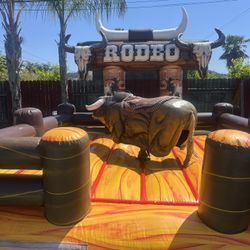 Mechanical Bull 15x15