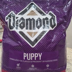 free Food Para Cachorro