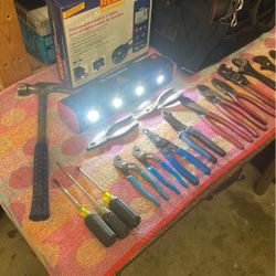 Klein, Channel Lock , Dewalt , Bag, Power Probe Tel, Reed Instruments 