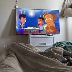50 Inch Roku Tv