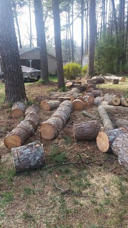 Free wood already cut