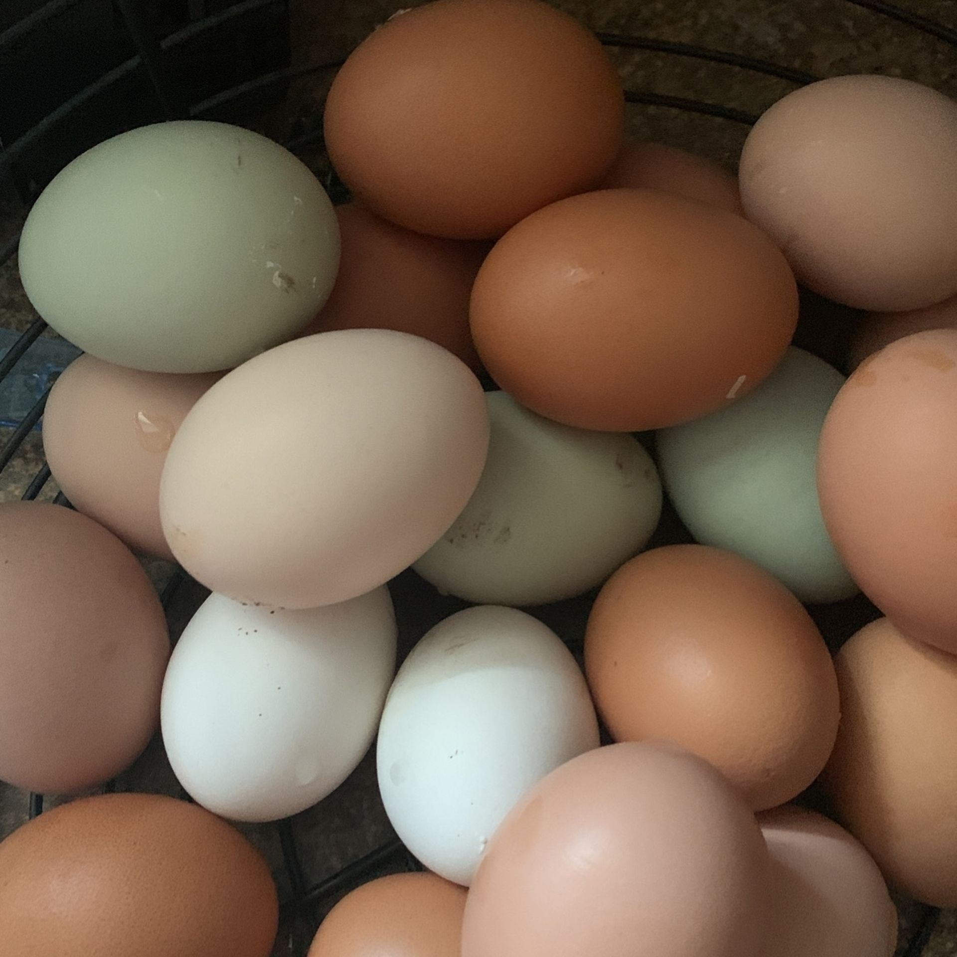 Farm Fresh Free Range Chicken Eggs