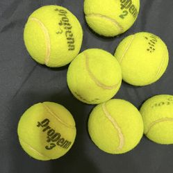 $7 Dog Toy Tennis Balls