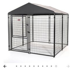 Lucky Dog Kennel, Chicken Coop and Chickens