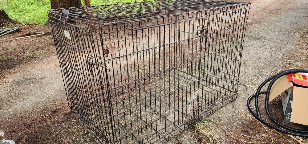 Kennel