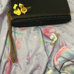 Pokémon switch clutch