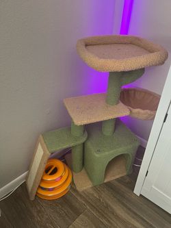 Cactus cat tree