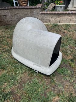 Large dog house