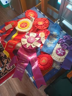 Vintage Horse Show Ribbons