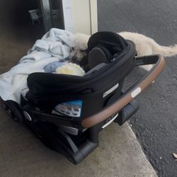 Evenflo dual shyft car seat