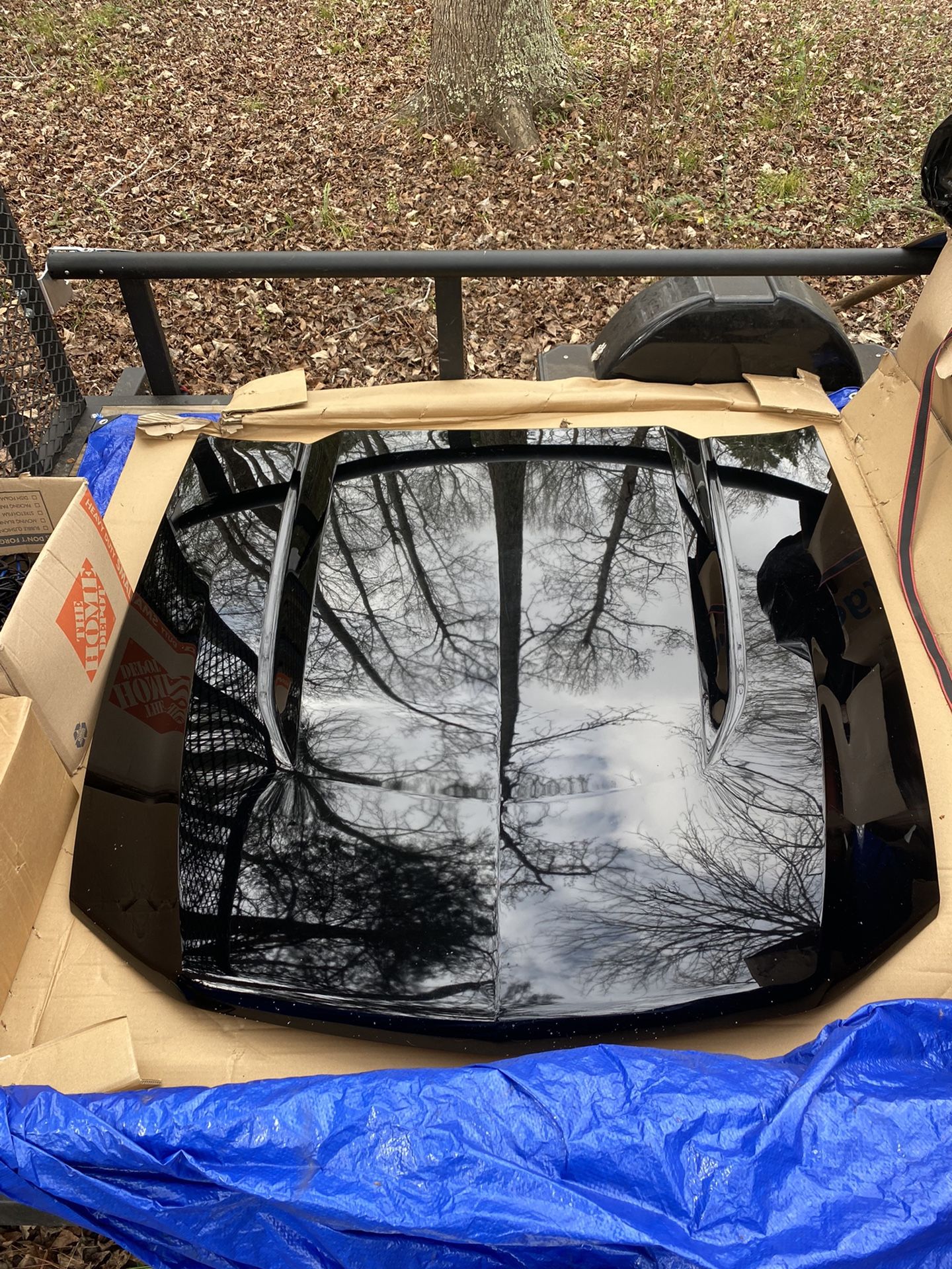 2011 Mustang 5.0 Parts Hood