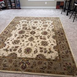 Area Rug Great Condition No Pets, No Smoke