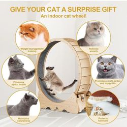 🔥on sale🔥Cat Wheel, 43" L Large Cats Exercise 