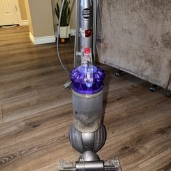 Dyson Ball Animal