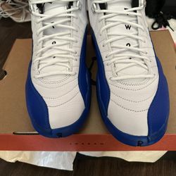 Blueberry Jordan 12s 