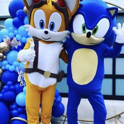 Sonic And Tails 