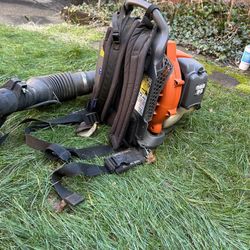 Backpack Leaf blower Expensive