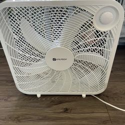 Fan