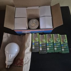 LED BULBS