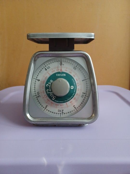 Metal Scale