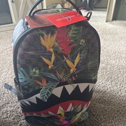 Limited Edition Dlsxv Sprayground Backpack 