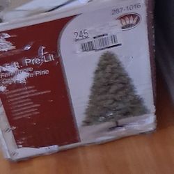 Tree For Free Pick Up