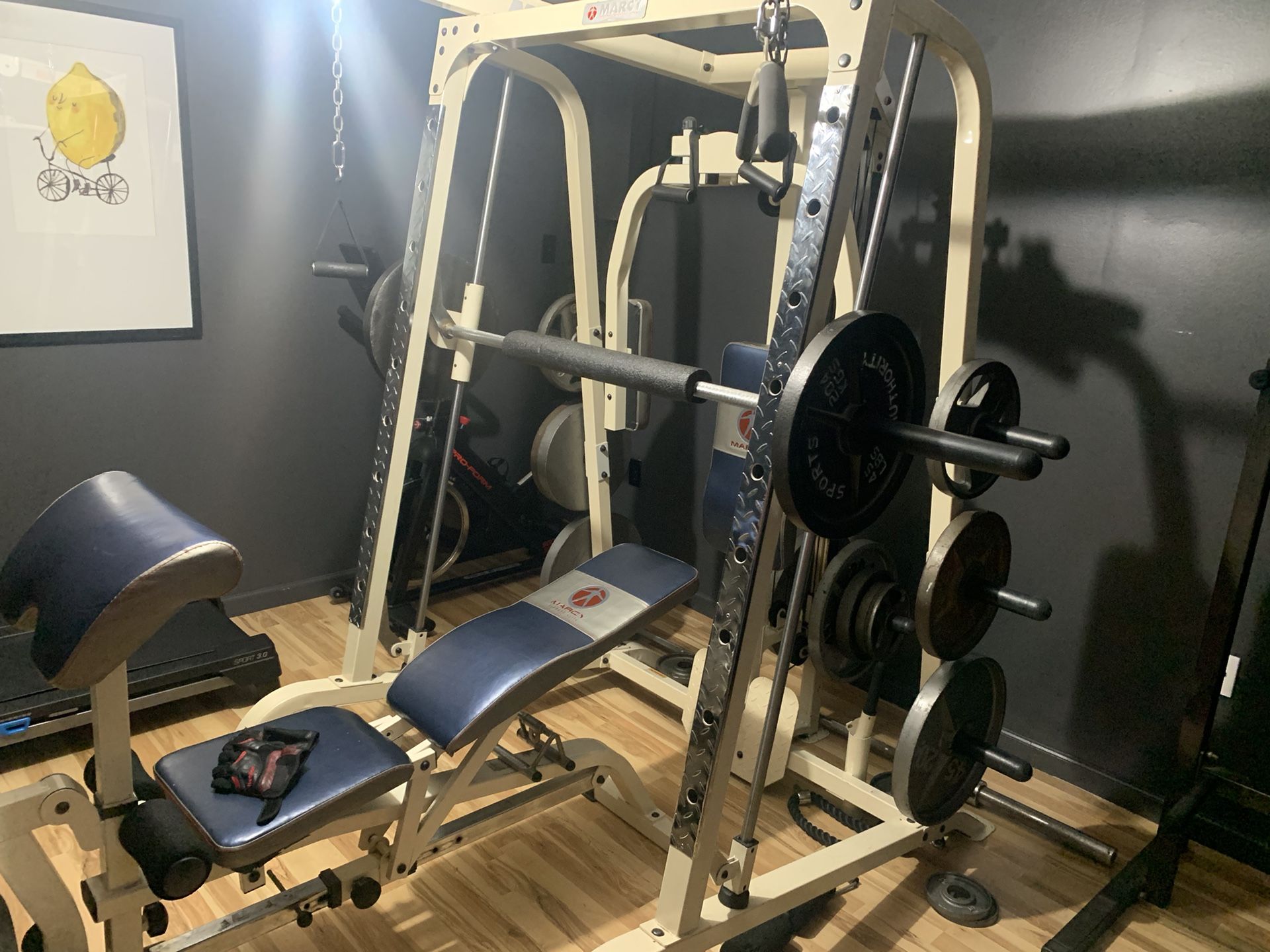 Smith System Gym Set