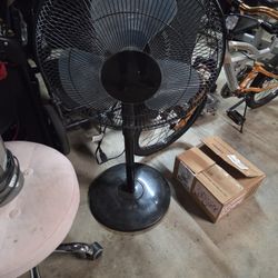 Pedestal Fan