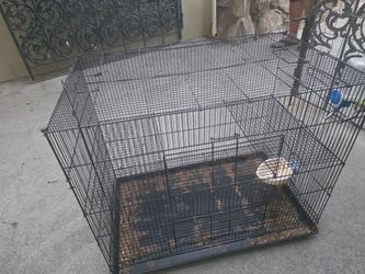 Animal cage free