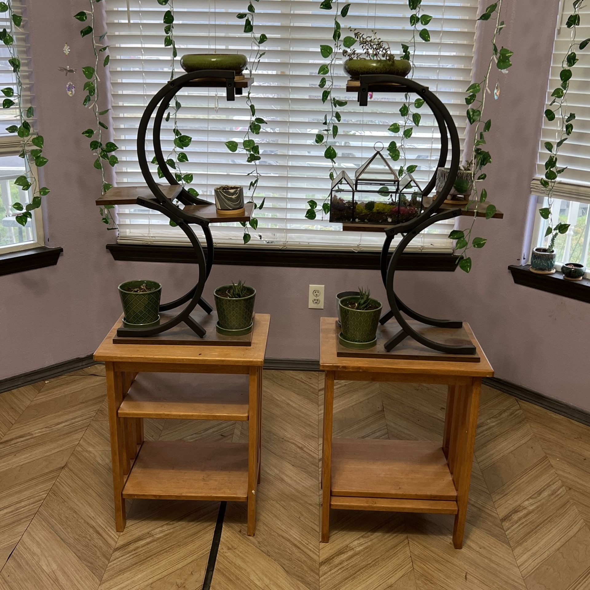 Plants, Stands, and Tables