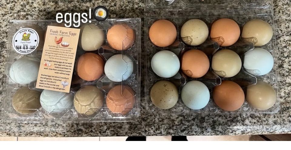 Farm Fresh Eggs,