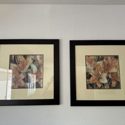 Set of 2 Framed Floral Paintings