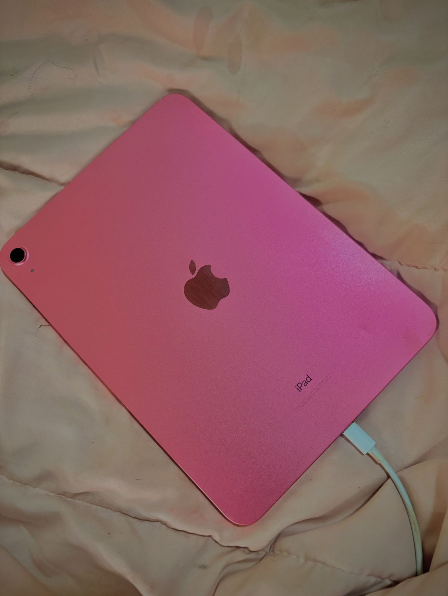 iPad 10th Generation Pink.