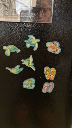 Tropical Sea Turtle and Flip Flop Magnets Set