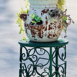 A Distressed Terracotta Pot With Succulents 