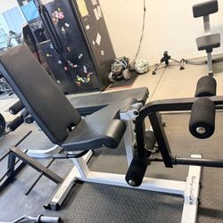 Commercial Adjustable Leg Curl/ext