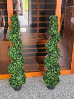 Spiral tree 4 ft in height
