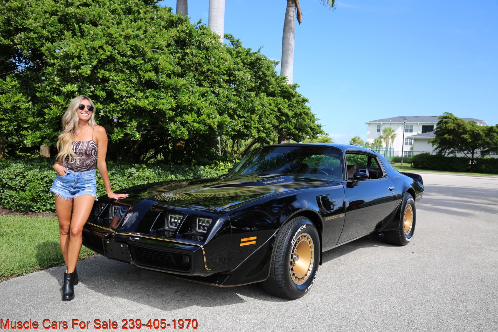 1981 Pontiac TRANS AM