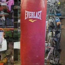  everlast punching bag 