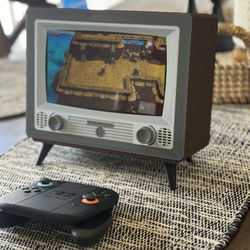Switch 2 TV Case