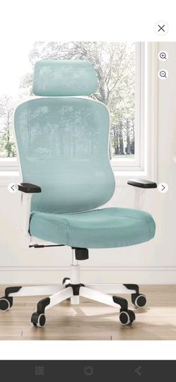 Frelax Bone Adult Mesh High Back Office Chair Brand New (Price Is Firm)