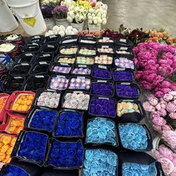 Wholesale Roses 
