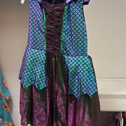 Mystical Dragon Costume