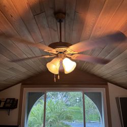 2 - 54 Inch Reversible Ceiling Fans 