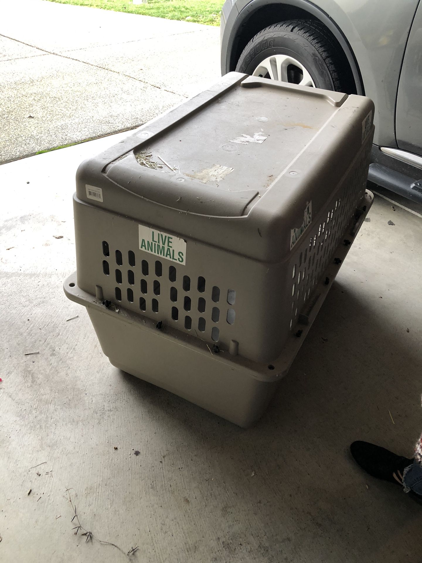 Xtra large kennel dog. used, very solid. 36 * 48. For large dogs.